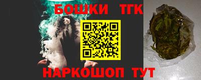 индика Ливны