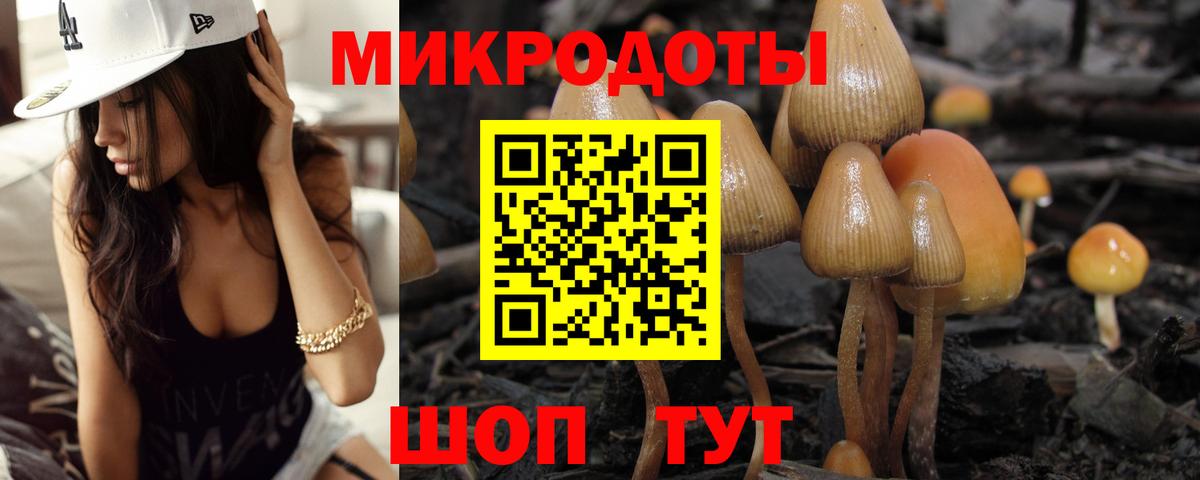 Галлюциногенные грибы GOLDEN TEACHER Вязники